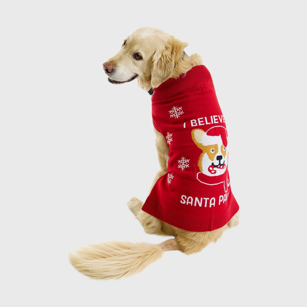 Santa paws Hunde-Weihnachtspullover